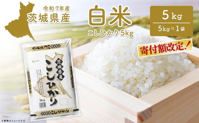 こしひかり 茨城県産 5kg〈令和8年3月内発送〉【令和7年産/白米】茨城県産 米 小分け 2025年産 コシヒカリ K2670