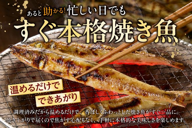 【にぎす 焼にぎす36尾 冷蔵】香住で水揚げされたにぎすを素焼きしました。昔なつかしい 素朴な風味 手焼き丁寧に焼いています キス きす 新鮮 香住産 国産 兵庫県 香美町 香住 10000 10000円 一万円 以下 浜貞商店 29-01