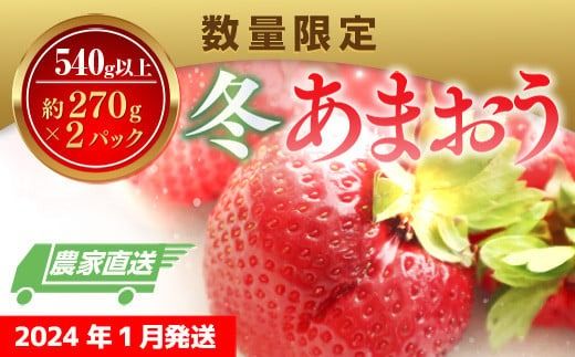 [期間限定発送] いちご あまおう 冬あまおう 270g以上 2p 計540g以上 [ストロベリーファーム 福岡県 宇美町 um40azp070002] イチゴ 苺 フルーツ 果実 甘い 小分け