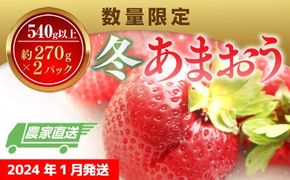 【期間限定発送】 いちご あまおう 冬あまおう 270g以上 2p 計540g以上 [ストロベリーファーム 福岡県 宇美町 um40azp070002] イチゴ 苺 フルーツ 果実 甘い 小分け