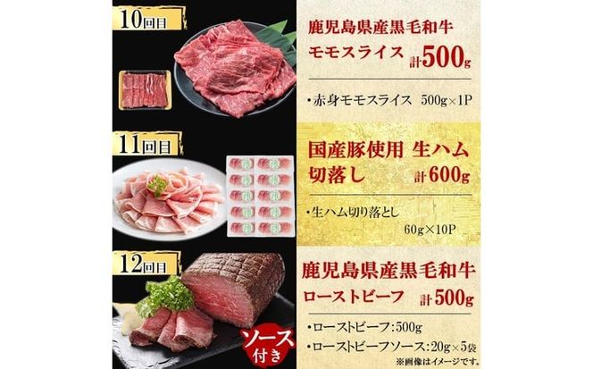 【定期便・全12回】ナンチクのお肉を楽しむ定期便！ナンチク厳選コース！ 総量8.5kg超! t0165-002