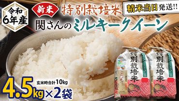 《 特別栽培米 》 令和6年産 精米日出荷 関さんの「 ミルキークイーン 」 4.5kg × 2袋 ( 玄米時 10kg ) 新鮮 精米 米 こめ コメ 特別栽培農産物 認定米 新米 [AM088us]