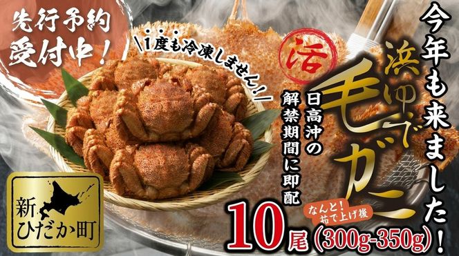 ＜ 2027年2月上旬より発送開始 ＞ 北海道産 浜ゆで 毛ガニ 10尾 計 3kg 以上 ＜ 予約受付 ＞ 毛蟹 毛がに けがに かに 蟹 カニ 蟹味噌 かに味噌 カニ味噌 茹で 海鮮 海産物 新鮮 旬 魚介 みそ 北海道 新ひだか町 冷蔵便 冷蔵