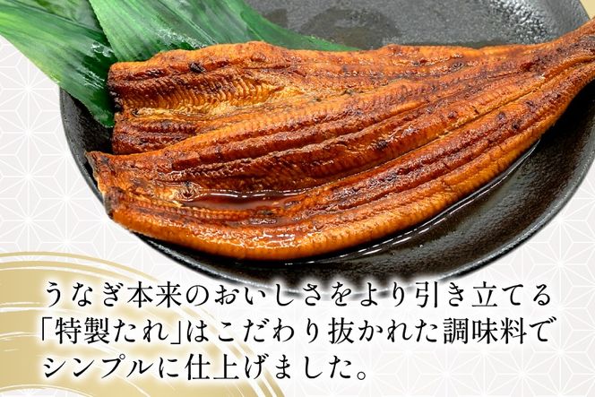うなぎ 国産 静岡 定期便 蒲焼 長焼 約140g 2尾 3回 総計6尾 [静岡鰻販売 静岡県 吉田町 22424581] 静岡県産 鰻 ウナギ ungai 蒲焼き うなぎ蒲焼き 鰻蒲焼 タレ たれ 山椒 真空パック 冷凍