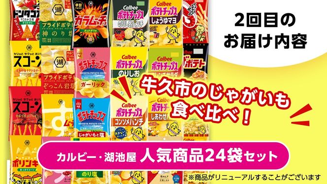  【 スナック菓子 3ヶ月 定期便 】 カルビー 湖池屋 人気 48袋 詰め合わせ バラエティ セット スナック ポテトチップス ポテチ ポテトチップ 菓子 お菓子 おかし おやつ おつまみ 大量 BIGBAG 堅あげポテト のりしお うすしお ブラックペッパー 頒布会 ジャガイモ じゃがいも まとめ買い [DA018us]