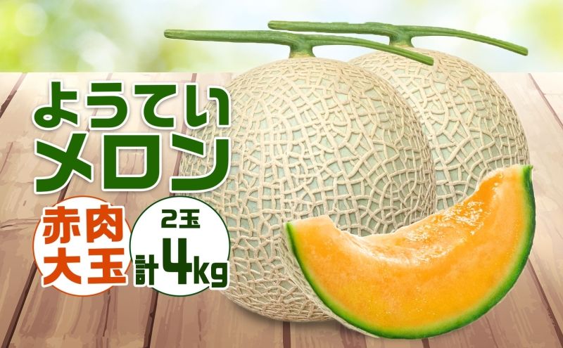 北海道 赤肉メロン 大玉 約2kg 2玉 メロン 赤肉 果物 フルーツ 甘い 完熟 スイーツ デザート 産直 国産 贈答品 お祝いギフト羊蹄山 JAようてい