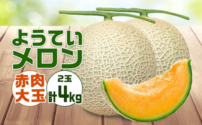北海道 赤肉メロン 大玉 約2kg 2玉 メロン 赤肉 果物 フルーツ 甘い 完熟 スイーツ デザート 産直 国産 贈答品 お祝いギフト羊蹄山 JAようてい