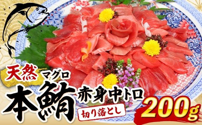 ymˎszVR{}O g Ԑg ؂藎Ƃ 200g (100g×2pbN) 󂠂 }O hg Jpb` ܂똥 ܂Ђ  y CN  HׂTCY ̓ Ⓚ s N}O }O