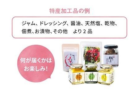 【 全3回 定期便 】朝採り オーガニック 旬 野菜 お任せ 5品 ＋ 糸島産 大ヒット 特産 加工品 2品 のセット《糸島》【オーガニックナガミツファーム】	[AGE029]