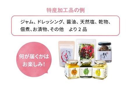 【 全3回 定期便 】朝採り オーガニック 旬 野菜 お任せ 5品 ＋ 糸島産 大ヒット 特産 加工品 2品 のセット《糸島》【オーガニックナガミツファーム】[AGE029]