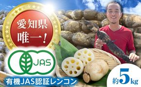 【先行予約】有機JAS認証　土付きレンコン　5kg れんこん 有機栽培　産地直送 野菜　愛西市/株式会社山三レンコン[AEBK004]