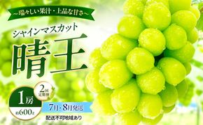 ぶどう 2026年 先行予約 定期便 シャインマスカット 晴王 1房 約600g 7月・８月 2回発送 岡山県産 種無し 皮ごと食べる みずみずしい 甘い 温室栽培 瀬戸内 晴れの国 おかやま 果物大国 満天フルーツ