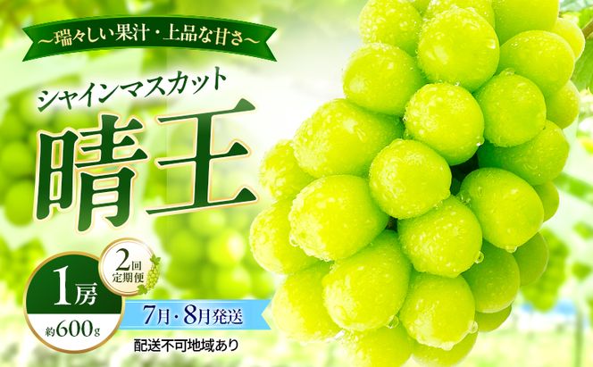 ぶどう 2026年 先行予約 定期便 シャインマスカット 晴王 1房 約600g 7月・８月 2回発送 岡山県産 種無し 皮ごと食べる みずみずしい 甘い 温室栽培 瀬戸内 晴れの国 おかやま 果物大国 満天フルーツ