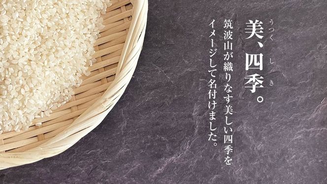 【 JA 北つくば オリジナル ブランド米 】 うつくしき 10kg ( コシヒカリ )  ( 5kg × 2袋 ) 令和6年産 農協 JA 米 お米 白米 コメ こしひかり 茨城県 精米 新生活 応援 [AE045ci]