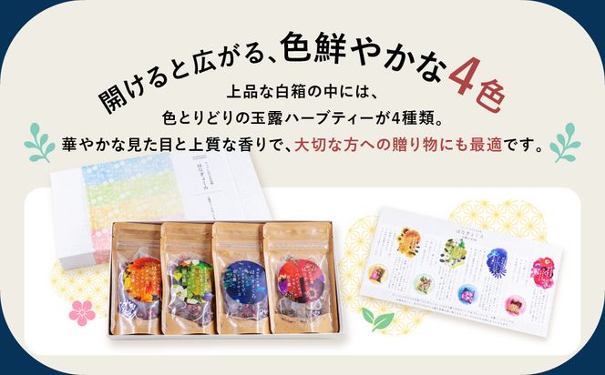 【京都ぎょくろのごえん茶】4色の玉露ハーブティー はなぎょくろ 飲み比べセット［ 京都 お茶 ハーブブレンド 玉露 ぎょくろ 人気 おすすめ 飲み比べ プレゼント ギフト お取り寄せ 通販 送料無料 ふるさと納税 ］ 261009_A-UZ004