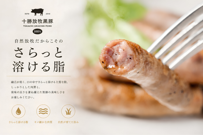 【ふるプレ限定品】十勝放牧黒豚　夏の極上バルセット SKN021