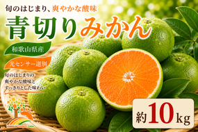 【先行予約】こだわりの青切りみかん 約10kg 農家直送 有機質肥料 100% サイズ混合 ｜ みかん 柑橘 果物 くだもの 果実 フルーツ 和歌山 有田