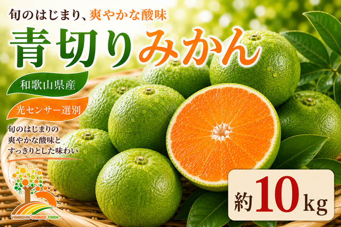 【先行予約】こだわりの青切りみかん 約10kg 農家直送 有機質肥料 100% サイズ混合 ｜ みかん 柑橘 果物 くだもの 果実 フルーツ 和歌山 有田