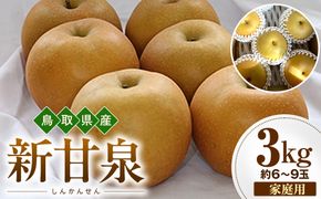【2026年度先行予約】数量限定　鳥取県産　新甘泉 家庭用 3kg(約6〜9玉)【8月20日以降発送】 313726_DE004