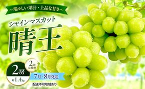 ぶどう 2026年 先行予約 定期便 シャインマスカット 晴王 2房 約1.4kg 7月・８月 2回発送 岡山県産 種無し 皮ごと食べる みずみずしい 甘い 温室栽培 瀬戸内 晴れの国 おかやま 果物大国 満天フルーツ