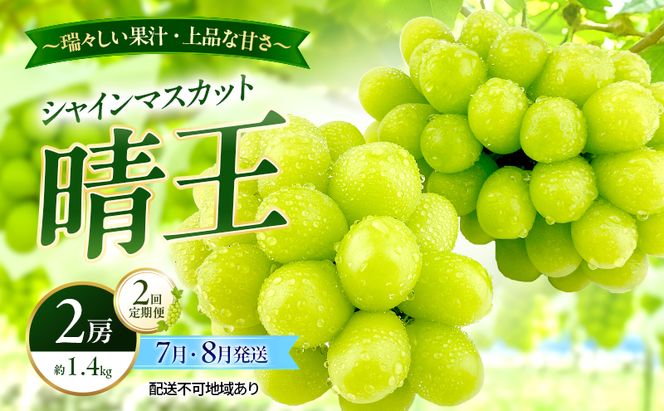 ぶどう 2026年 先行予約 定期便 シャインマスカット 晴王 2房 約1.4kg 7月・８月 2回発送 岡山県産 種無し 皮ごと食べる みずみずしい 甘い 温室栽培 瀬戸内 晴れの国 おかやま 果物大国 満天フルーツ