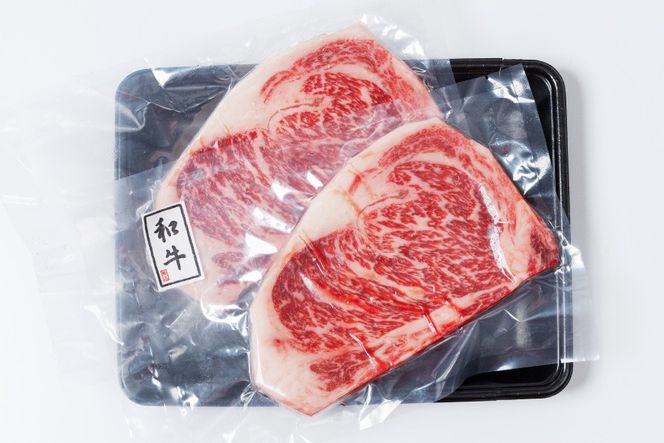 牛肉 黒毛和牛 宮崎産 サーロインステーキ(250g×2枚) 計500g [ウィズ・クリエイティブ 宮崎県 日向市 452061463] 和牛 肉 ステーキ サーロイン 冷凍 真空パック