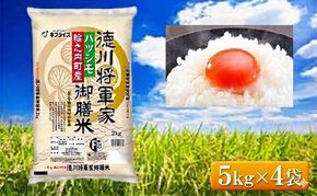 7年産 岐阜県産 ハツシモ （徳川将軍家御膳米） 5kg×4袋  米 コメ 精米 白米 大粒 おいしい ごはん おにぎり お弁当 岐阜県 輪之内町