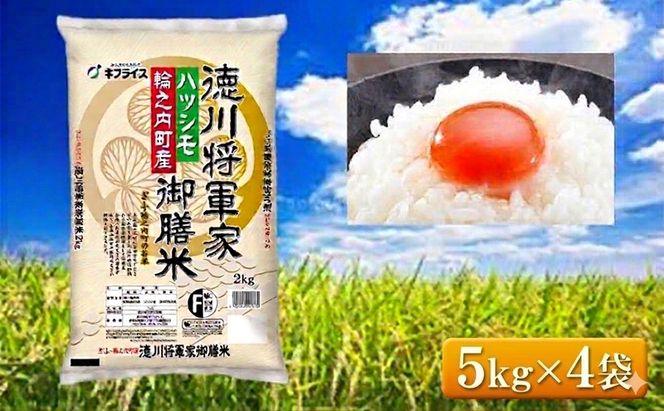 7年産 岐阜県産 ハツシモ （徳川将軍家御膳米） 5kg×4袋  米 コメ 精米 白米 大粒 おいしい ごはん おにぎり お弁当 岐阜県 輪之内町