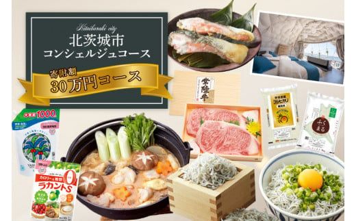 【提案型】コンシェルジュコース（30万円）(BM103)