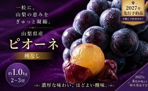 FB002【2027年 先行予約】山梨県産　種なしピオーネ2～3房(約1.0Kg）|ピオーネ 種無し ブドウ ぶどう 葡萄  フルーツ 果物 贈答 プレゼント