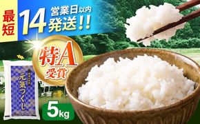令和7年産　福岡県　元気つくし　5kg　《築上町》【カネガエ】[ABFA004]