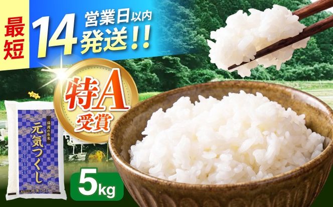令和7年産　福岡県　元気つくし　5kg　《築上町》【カネガエ】[ABFA004]