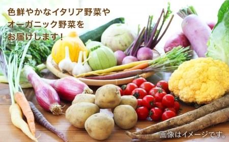 【全12回定期便】旬を味わう 糸島 野菜 セット 10～14種 （14パック） / イタリア野菜 オーガニック 野菜ソムリエ 松永 糸島市 / vegeLabo [AJB003]