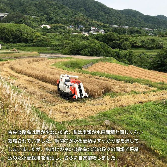 淡路市尾崎産　全粒粉小麦粉 詰合わせセット（やば恋(登録商標)小麦）