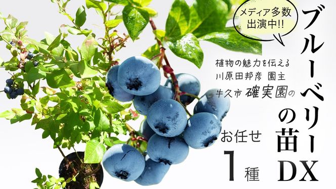 y錧vszu[x[  c DX 1i ii킨܂j rbgACn nCubVnTU TUnCubVn c  ʎ K[fjO [BG014us]