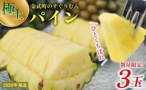 2026年発送【数量限定】ひとくちぼれ 金武町のすぐりむん（極上）パイン 3玉 パイナップル ぱいなっぷる パインアップル ぱいんあっぷる 国産 ギフト ボゴール スナック パイン 夏 贈答品 贈り物 プレゼント フレッシュ 土産 お取り寄せ フルーツ 果物 沖縄 金武町