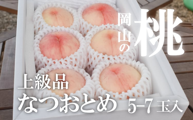 【2026年先行予約】甘い桃「なつおとめ」上級品 5~7玉入 (岡山県産) 【KF-A017-01】