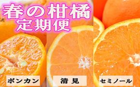 〈定期便〉【2・3・4月 全3回】和歌山の春の柑橘（ポンカン・清見オレンジ・セミノールオレンジ）｜フルーツ ふるーつ 果物 くだもの 詰め合わせ 果物定期便 春 旬 みかん オレンジ 柑橘 国産 産地直送 美浜町厳選館 美浜町
