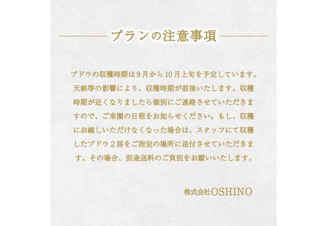 富士吉田市産　ブドウ狩りプラン(シャインマスカット) ぶどう 葡萄 体験 収穫 フルーツ狩り 果物狩り フルーツ 果物 シャイン シャインマスカット 収穫体験 山梨 富士吉田