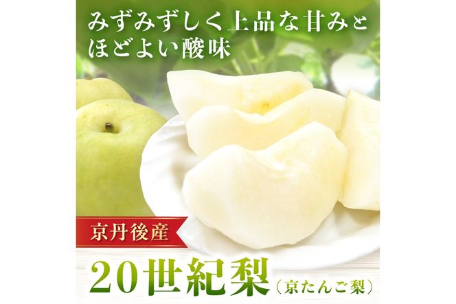 【先行予約／数量限定150】20世紀梨 5kg（2026年9月上旬～発送）　JK00038