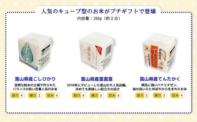 [五ツ星お米マイスターおすすめ] えらべるお米 プチギフト 2つ包み（2銘柄）青色