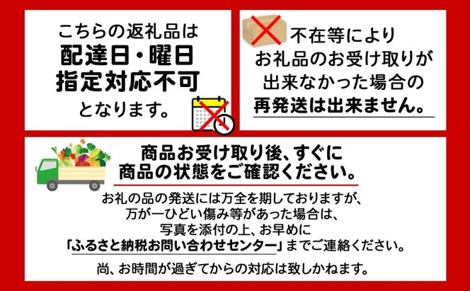 北海道 赤肉メロン 大玉 約2kg 1玉 メロン 赤肉 果物 フルーツ 甘い 完熟 スイーツ デザート 産直 国産 贈答品 お祝いギフト羊蹄山 JAようてい