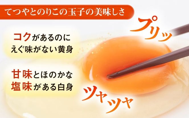 【全12回定期便】【30個×12ヶ月】黄身にコク！白身に甘み！てつやとのりこの玉子 板垣ファーム [AWD010]