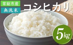 【令和7年産】無洗米 コシヒカリ5kg 茨城県常総市産