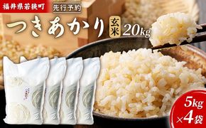 【10月お届け】令和8年産 若狭町ツキアカリ玄米20kg 米 お米 つきあかり 福井県