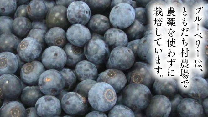 つくばみらい市 産 冷凍 ブルーベリー 800g ( 400g ×2パック ) 国産 農薬無使用 自家農場 果物 就労継続支援 フルーツ おいしい 冷凍ブルーベリー フリーズ ［DG02-NT］