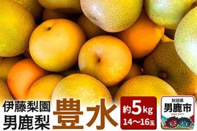【先行受付】男鹿梨 「伊藤梨園」の豊水 梨 約5kg 2L～3L 14～16玉 秋田県 男鹿市 旬の果物 2026年9月下旬以降出荷|23_itn-010501