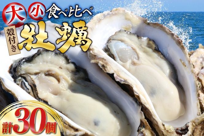 y{錧OzyԌ蔭z kt y v30 2(OWICX^[  OMAKI ) Hה Zbg e15 yiCtt [Geoyst {錧 O m304bdz670000]  JL ICX^[ y ^y