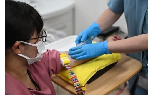 小林記念病院人間ドック（プレミアムコース）利用券 1名様分 CT検査 骨密度 脳ドック 健診 健康診断 健康 脳 内臓 骨 脳疾患 生活習慣病 券 チケット ギフト 贈り物 愛知県 碧南市 H203-001