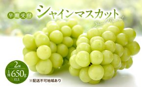 ぶどう 早期受付 シャイン マスカット 2房（1房650g以上） ブドウ 葡萄 岡山県産 国産 フルーツ 果物 ギフト 桃茂実苑